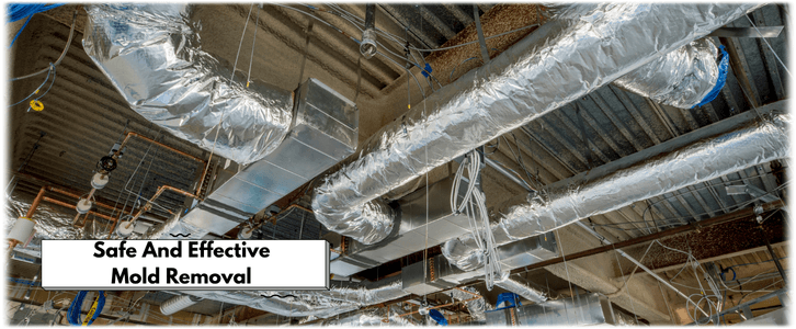 Air Duct Mold Removal in Santa Clarita