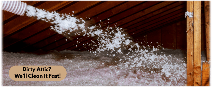 Attic Cleaning Santa Clarita