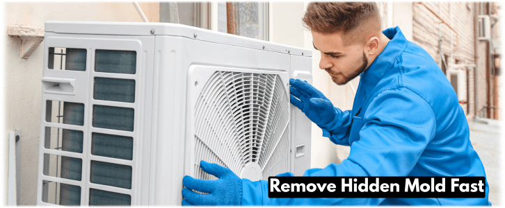 HVAC Mold Removal Santa Clarita